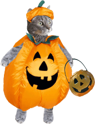 Wilber in a pumpkin costume