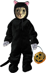 Wilber in a spooky black cat costume